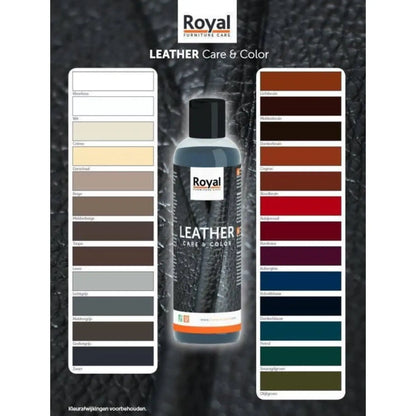 Leather Color revive
